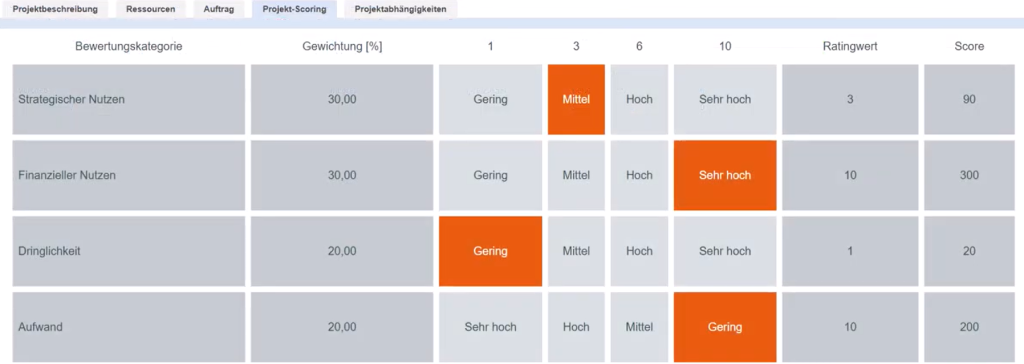 Kriterien für das Projekt-Scoring zum Ressourcenmanagement mit der Software ibo netProject