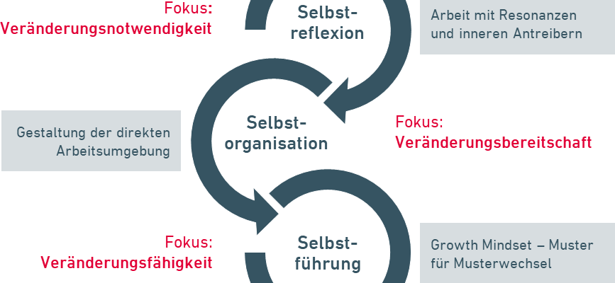 Drei Phasen der Selbstwirksamkeit