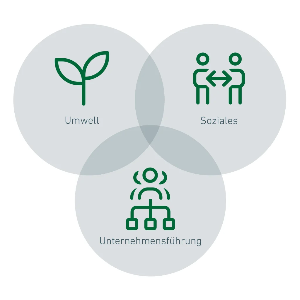 Definition von ESG: Environmental Social und Governance